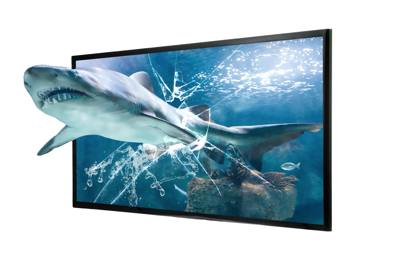 Shark Swimming out of Plasma Television